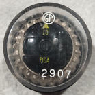 2907 Gp Pica 10 Print