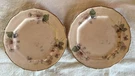 2 - Rare Taylor Smith Co. 7 31 China Pattern 5. Fixed Price $18.99.