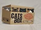 Cats The Box 4-DESIGN Memo Tabbies 100 Sticky Tabs Streamline New. Fixed Price $5.99.